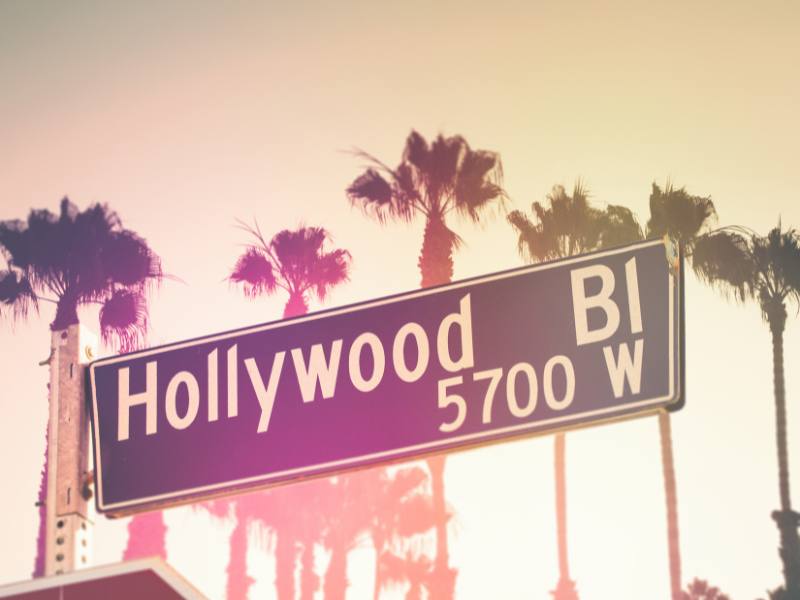 Dog Name Ideas: 10+ Celebrity Dog&nbsp;Names