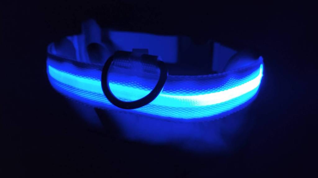 glow in the dark dog collar