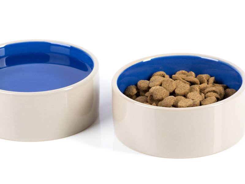blue and white dog water and food ceramic bowls