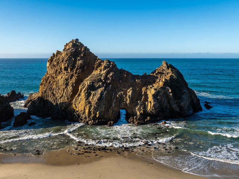 7+ Dog-Friendly Big Sur Hotels, Hikes, Camping Spots, & Beaches