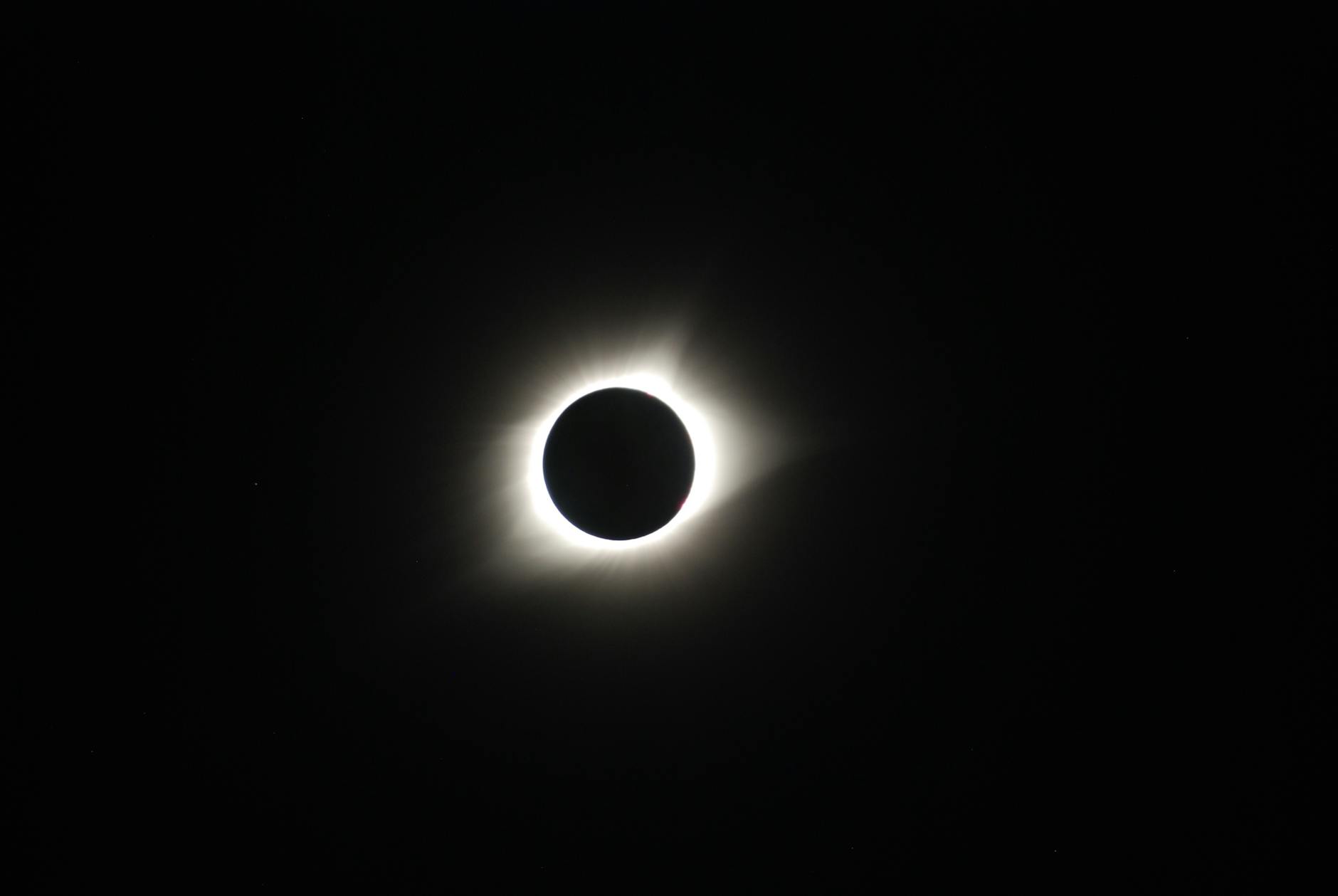 Prepare Your Dog for the Solar Eclipse 2026 (4 Tips)