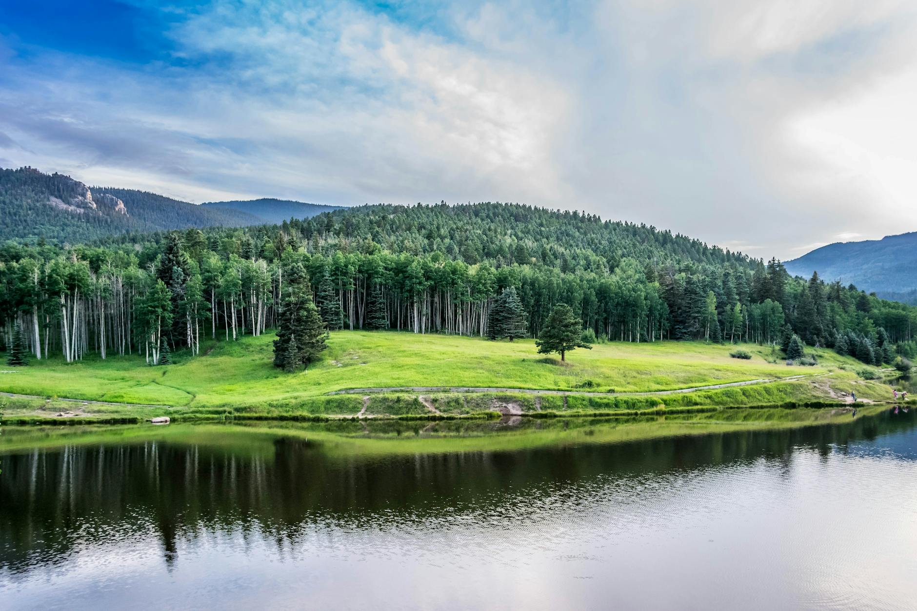 The Colorado Mountain Dog: A Guardian & Family Companion